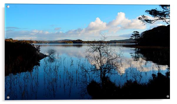 Muckross Lake Acrylic by barbara walsh