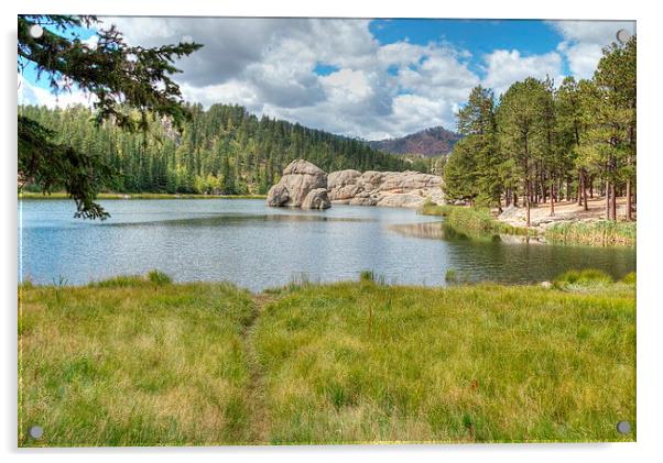 Lake Sylvan, South Dakota Acrylic by Nataliya Dubrovskaya