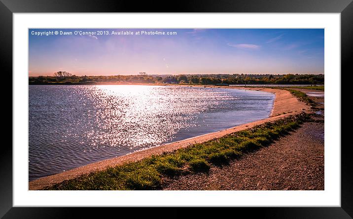 Riverside Country Park Winter Sunshine Framed Mounted Print by Dawn O'Connor