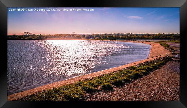 Riverside Country Park Winter Sunshine Framed Print by Dawn O'Connor