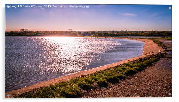 Riverside Country Park Winter Sunshine Acrylic by Dawn O'Connor