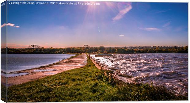 Riverside Country Park Canvas Print by Dawn O'Connor