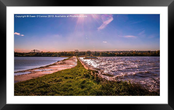 Riverside Country Park Framed Mounted Print by Dawn O'Connor