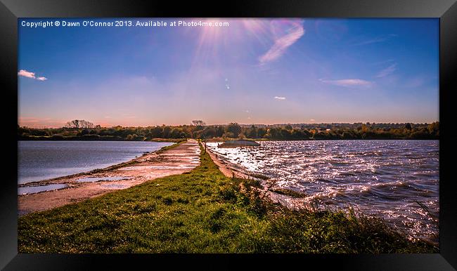 Riverside Country Park Framed Print by Dawn O'Connor