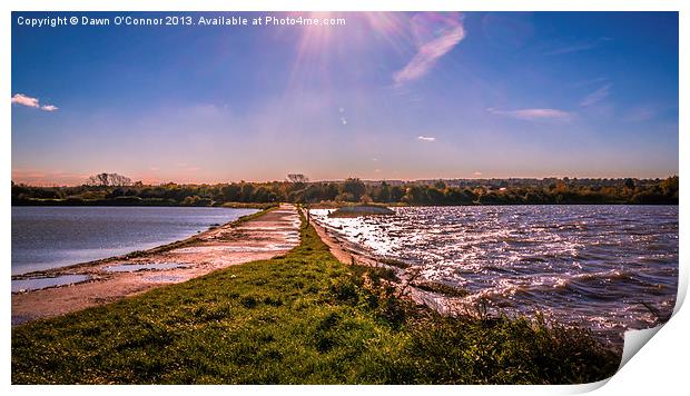 Riverside Country Park Print by Dawn O'Connor