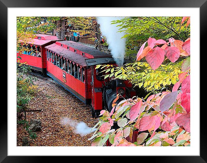 Steam Train Framed Mounted Print by Pics by Jody Adams