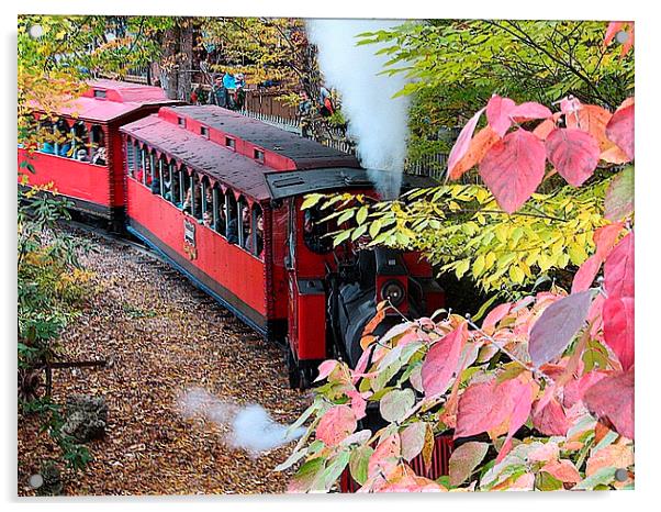 Steam Train Acrylic by Pics by Jody Adams