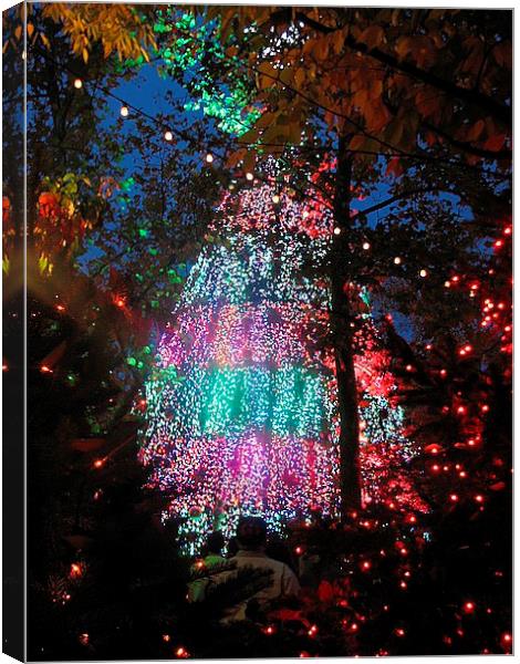 The Lights Canvas Print by Pics by Jody Adams
