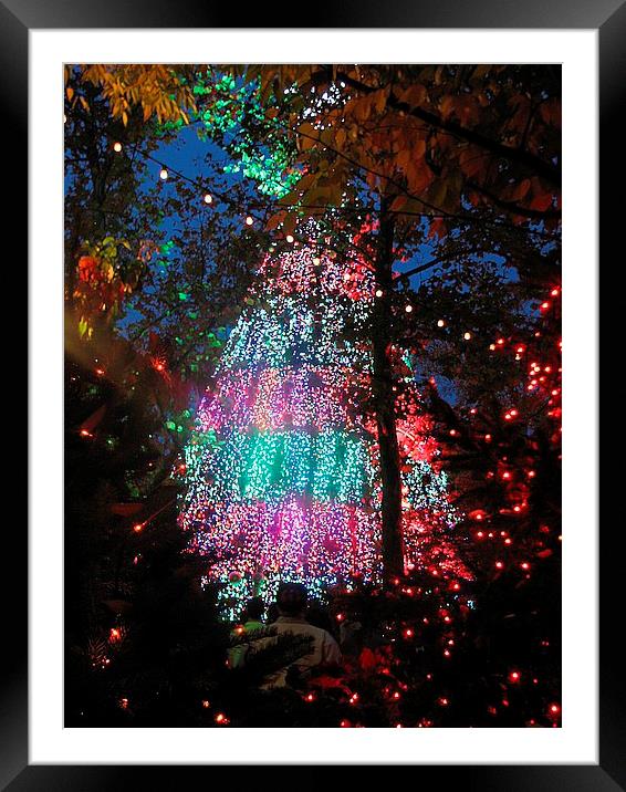 The Lights Framed Mounted Print by Pics by Jody Adams