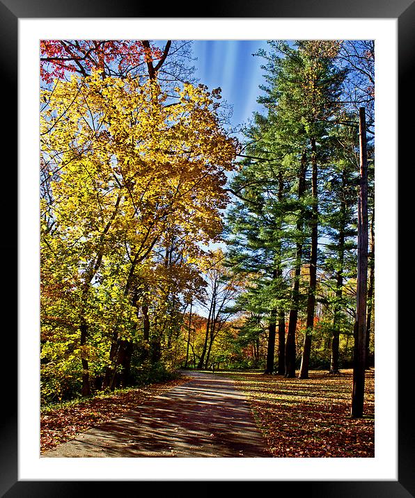 Walk Thru Fall Framed Mounted Print by Tom and Dawn Gari