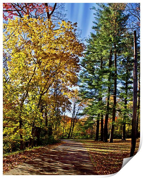 Walk Thru Fall Print by Tom and Dawn Gari