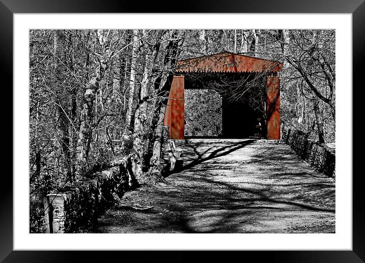 Red Covered Bridge Framed Mounted Print by Tom and Dawn Gari