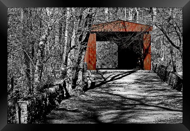 Red Covered Bridge Framed Print by Tom and Dawn Gari