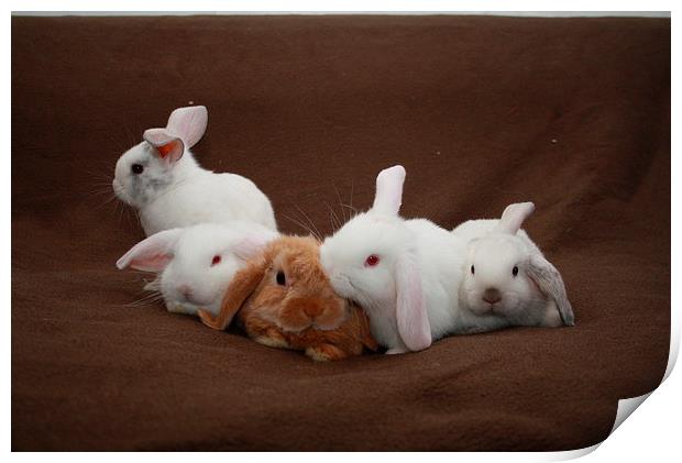 Rabbit Cuddle Print by Martin Maran