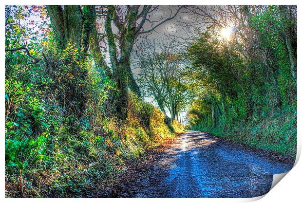 Leafy lane Print by Gavin Wilson