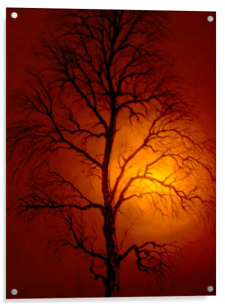Winter Sunset Acrylic by james richmond