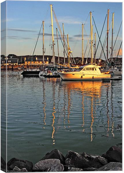 Island Marina Canvas Print by Tommy Reilly