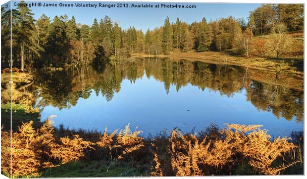 Tarn Hows,Cumbria Canvas Print by Jamie Green