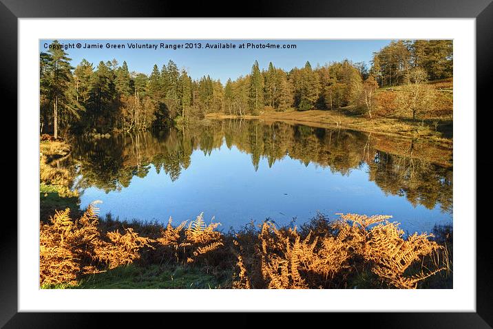 Tarn Hows,Cumbria Framed Mounted Print by Jamie Green