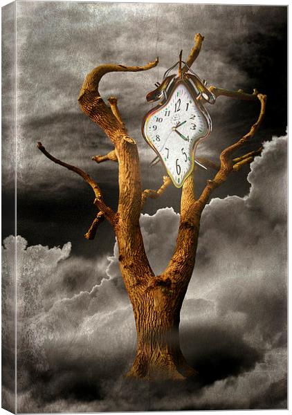 Season of Time Canvas Print by Christine Lake