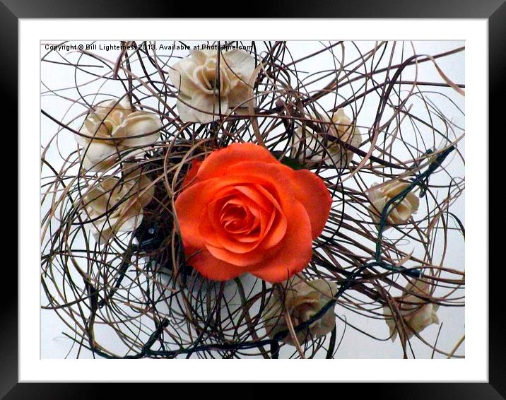 Dry flowers & the Rose Framed Mounted Print by Bill Lighterness