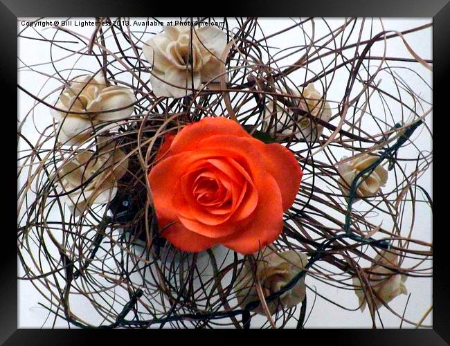 Dry flowers & the Rose Framed Print by Bill Lighterness