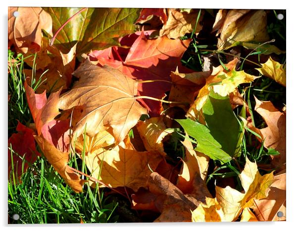 Colours of Autumn Acrylic by Ursula Keene