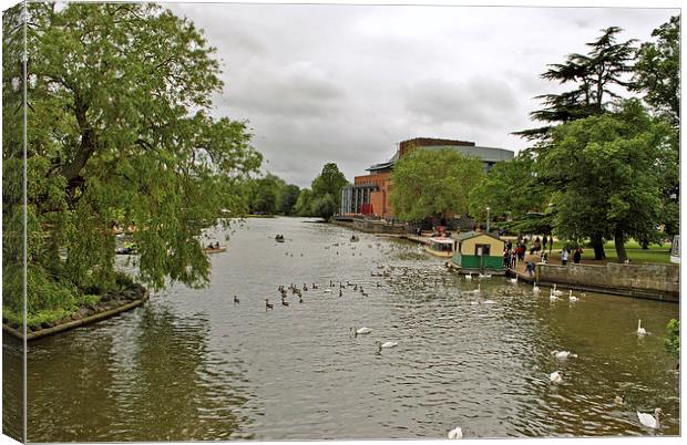 The Avon at Stratford Canvas Print by graham young