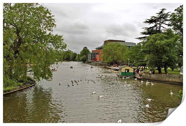 The Avon at Stratford Print by graham young