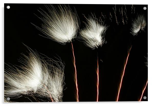 Fireworks Acrylic by George Young