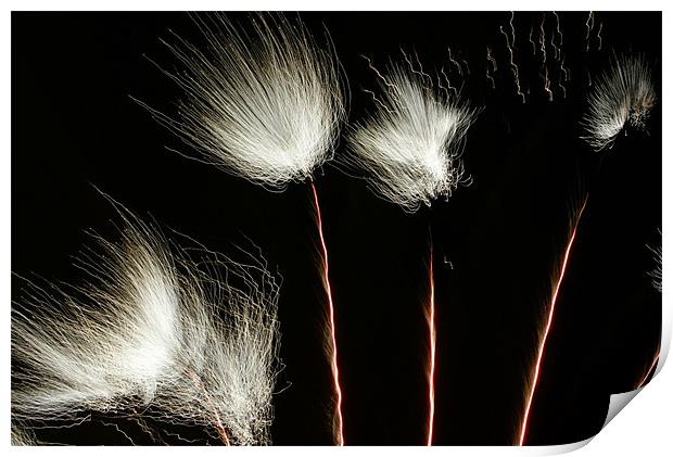 Fireworks Print by George Young