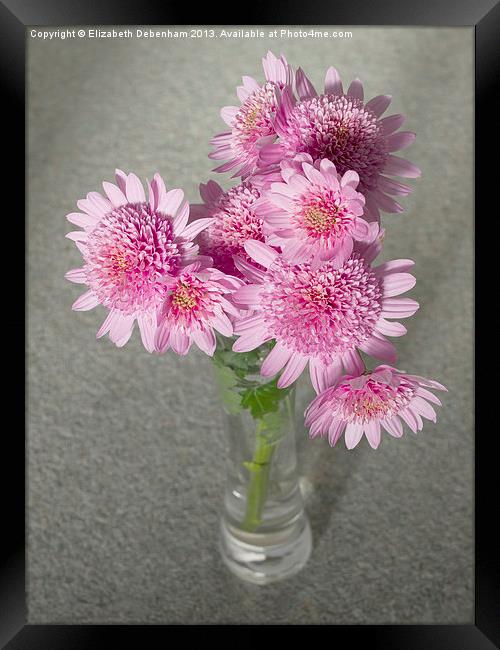 Chrysanthemum Beauty Framed Print by Elizabeth Debenham