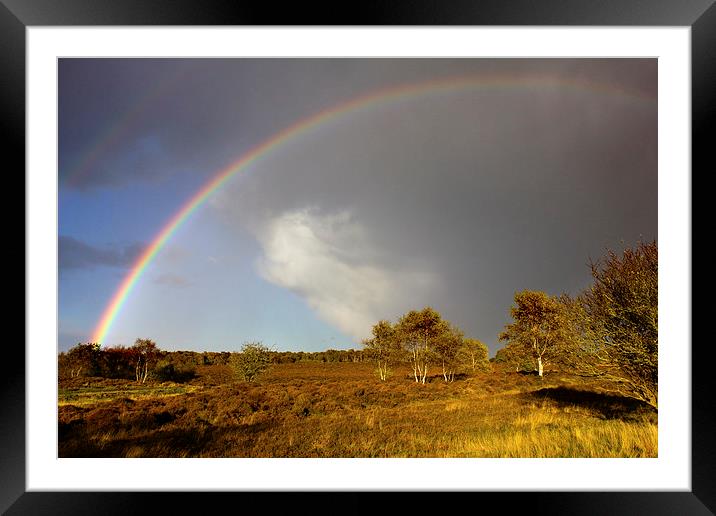 Rainbow On Dunwich Heath Framed Mounted Print by Darren Burroughs