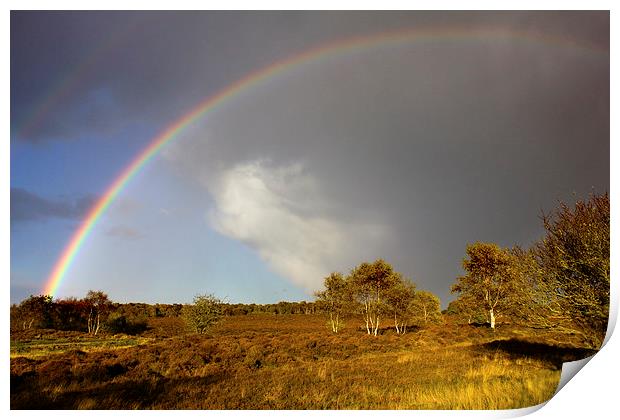 Rainbow On Dunwich Heath Print by Darren Burroughs