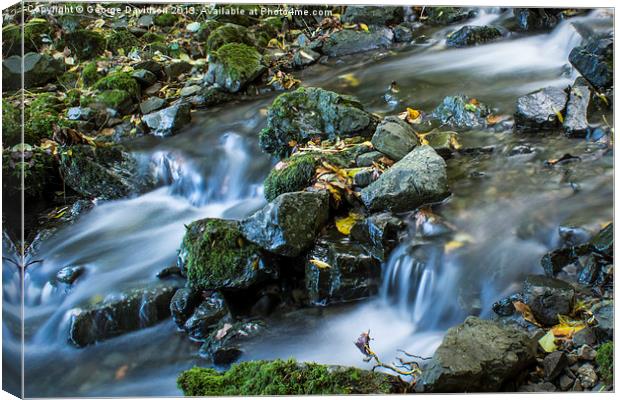 Colourful Flow Canvas Print by George Davidson