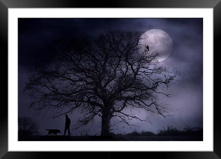 Midnight Walk Framed Mounted Print by Martin Maran