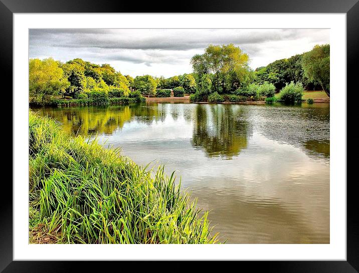 Capstone Country Park, Lake View Framed Mounted Print by Robert Cane
