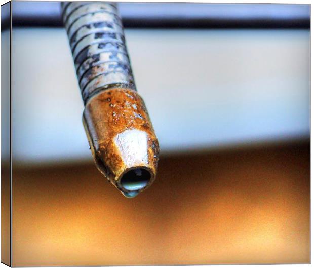 Dripping oil pipe. Canvas Print by Robert Cane