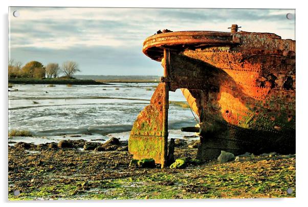 Riverside Country Park, Rusty Boat Acrylic by Robert Cane