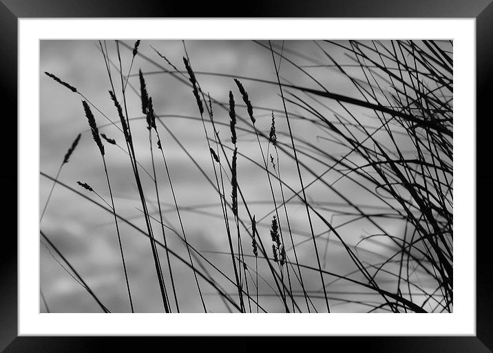 In the Dunes Framed Mounted Print by Simon Deacon