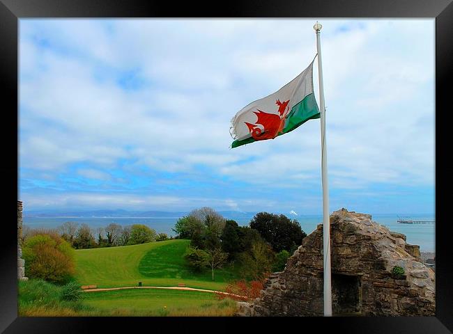 Beautiful Welsh Flag Framed Print by Kayleigh Meek