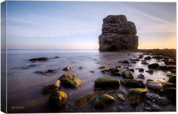 Marsden Rocks Canvas Print by Neil Young