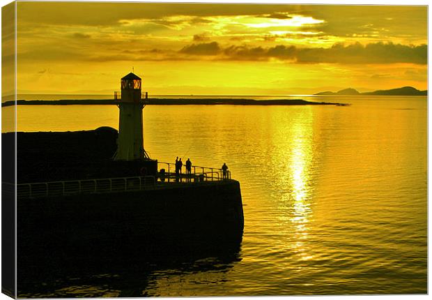 Ardrossan Harbour Canvas Print by Tommy Reilly