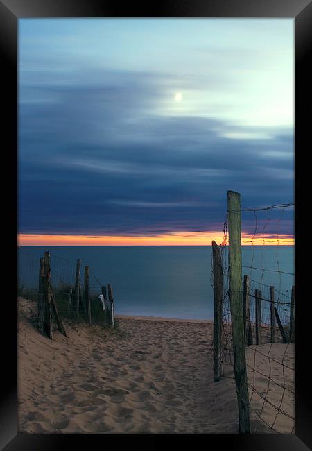 Moonlit path Framed Print by Ian Jones