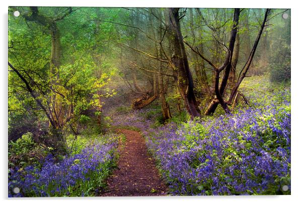 Spring Mist Acrylic by Dawn Cox