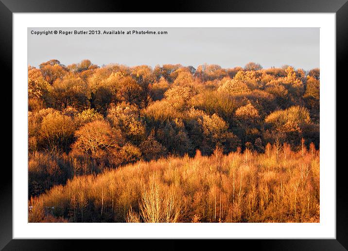 Autumn Colour Framed Mounted Print by Roger Butler
