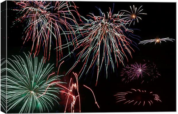 Fireworks Extravaganza 1 Canvas Print by Steve Purnell