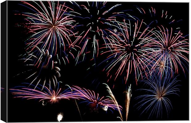 Fireworks Extravaganza 2 Canvas Print by Steve Purnell