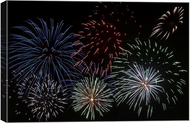 Fireworks Extravaganza 3 Canvas Print by Steve Purnell
