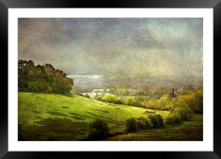 The Valley Framed Mounted Print by Dawn Cox